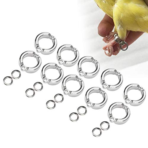 Cikonielf 10 Stück Vogel Fußringe Metall Vogel Klemmringe Papagei Beinring Fußring für Papageien Vögel Wachtel Tauben Papageien(#10) von Cikonielf