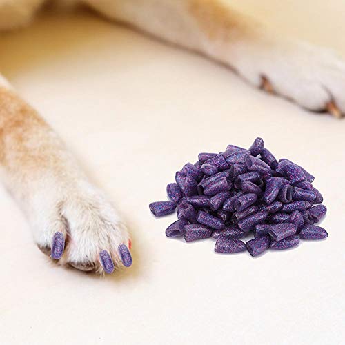 Cikonielf 100 Stück Hund Nagelabdeckungen Bunte Hunde Pflege Klauen Kappen Hund Nagel Pfoten Kappen mit Applikatoren Zubehör für Haustiere Hunde(L Crystal Violet) von Cikonielf