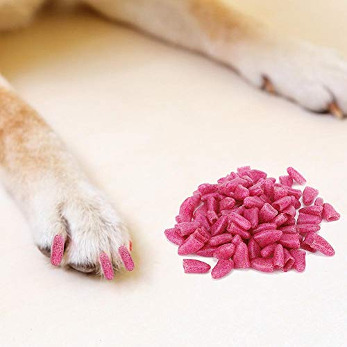 Cikonielf 100 Stück Hund Nagelabdeckungen Bunte Hunde Pflege Klauen Kappen Hund Nagel Pfoten Kappen mit Applikatoren Zubehör für Haustiere Hunde(XL-Crystal Pink) von Cikonielf