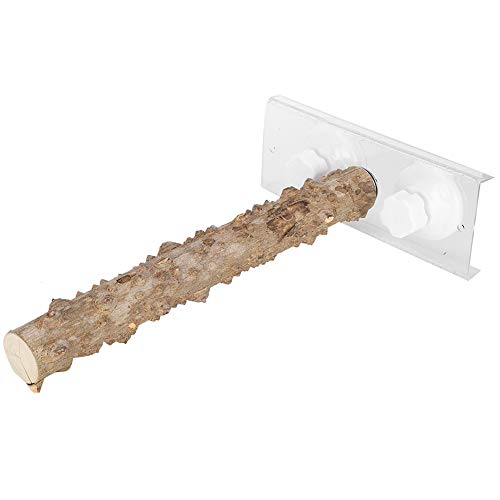 Cikonielf 30cm Papagei Stand Barsch Spielzeug Holzpapagei Einfacher Stand Vogel Dusche Barsch mit Saugnapf für Verschiedene Haustiervögel von Cikonielf