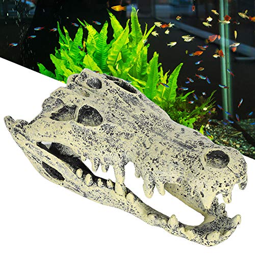 Aquarium Hohlharz Dinosaurier Schädel Aquarium Ornamente Aquarium Terrarium Dekoration Krokodil Schädel Simuliert Dinosaurier für Aquarium von Cikonielf