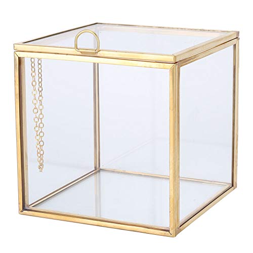 Glas Terrarium Gold Edge Geometric Planter Sukkulentenhalter Pflanzen Container Blumentopf Tischplatte Fenster Landschaft Dekor von Cikonielf