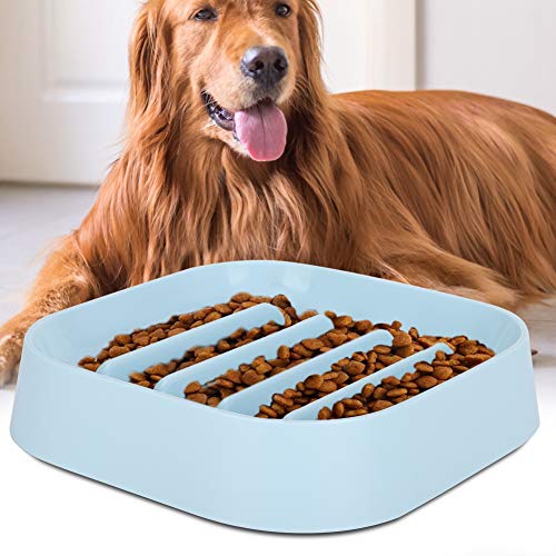 Cikonielf Pet Dog Bowl Slow Feeder Futterqualität Dog Food Bowl Quadratische Form Pet Slow Food Bowl für Hunde Katzen Welpen(Blau) von Cikonielf