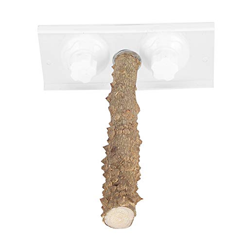 Sitzstange mit Saugnapf Vögel Sitzstangen Natur Sitzstangen 25cm Papageien Sitzstangen Natur Holz Barsch Vogelzubehör für Vögel wie Wellensittich, Nymphensittich, Kanarienvogel, Agaporniden von Cikonielf