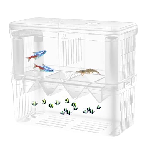 Aquarium-Zuchtbox, Fisch-Zuchtbecken, Fischbrut-Zuchtbox, Doppelschicht-Aquarium-Zuchtbecken-Brutkasten, transparente Brutbox mit Saugnäpfen für Guppy, Clownfisch, kleine Fische von Cileznw