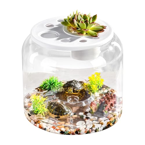 Großes Schildkrötenbecken Transparent Schildkröte Aquarium Schildkröte Tank Deckel Schildkröte Terrarium Gehege Schildkröte Tank Abdeckung Aquarium Schildkröte Tank Transparent Schildkröte Gehege von Cileznw