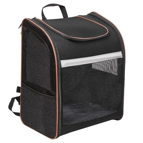 CINNANI Katzenrucksack,Transportbox für Katzen bis 6kg - Bequemer Hunderucksack bis 6kg - Idealer Cat Backpack für den sicheren Katzen Transport 42 * 33 * 25CM (Schwarz) von Cinnani