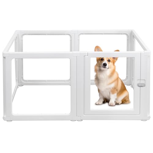 Citylife 6-TLG Welpenauslauf 60cm hoch, Hundelaufstall faltbar mit Tür, Hundegehege Wohnung, XXL Laufgitter für Hunde, Katzen, Kaninchen, Kleintiere, rutschfest, Transparent, 120LX60WX60HCM von Citylife