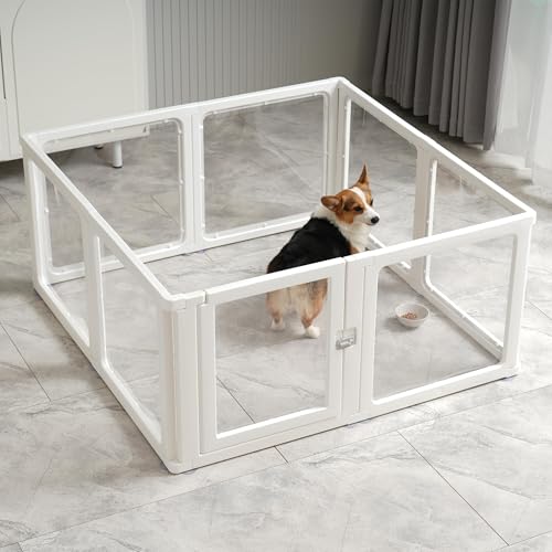 Citylife 8-TLG Welpenauslauf 60cm hoch, Hundelaufstall faltbar mit Tür, Hundegehege Wohnung, XXL Laufgitter für Hunde, Katzen, Kaninchen, Kleintiere, rutschfest, Transparent,120LX120WX60HCM von Citylife