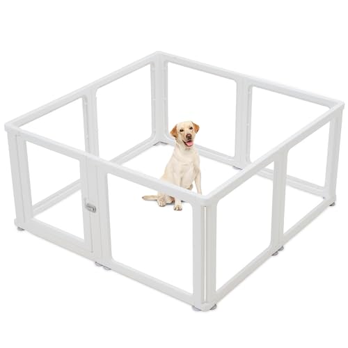 Citylife 8-TLG Welpenauslauf 60cm hoch, Hundelaufstall faltbar mit Tür, Hundegehege Wohnung, XXL Laufgitter für Hunde, Katzen, Kaninchen, Kleintiere, rutschfest, Transparent,120LX120WX60HCM Citylife 8-TLG Welpenauslauf 60cm hoch, Hundelaufstall faltbar mit Tür, Hundegehege Wohnung, XXL Laufgitter für Hunde, Katzen, Kaninchen, Kleintiere, rutschfest, Transparent,120LX120WX60HCM von Citylife