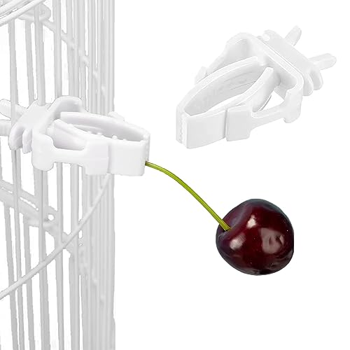 Four Treats Food Holder Animals Bird Cage Clips Plastic Accessories GardenMöbel & Wohnen, Feste & Besondere Anlässe, Party- & Eventdekoration! von Cixilo