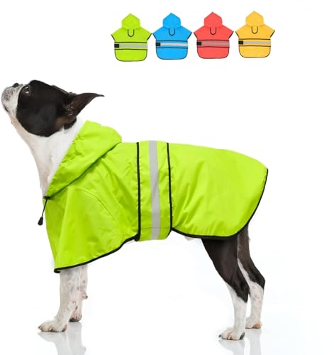 Candofly Hunde-Regenmantel mit Kapuze – Verstellbare wasserdichte Hunde-Regenjacke Leichte Reflektierende Hunde-Regenmantel Haustier-Zupfanzug für kleine, mittelgroße und große Hunde (Medium, Grün) von Clan_X