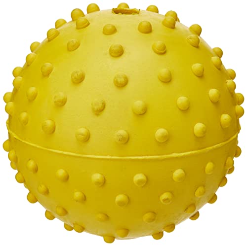 CLASSIC for Dogs Noppenball aus Gummi mit Glocke von CLASSIC