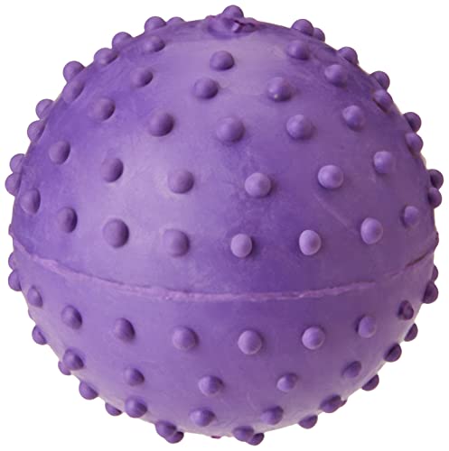 Classic for Dogs Noppenball aus Gummi mit Glocke von Classic Pet Products