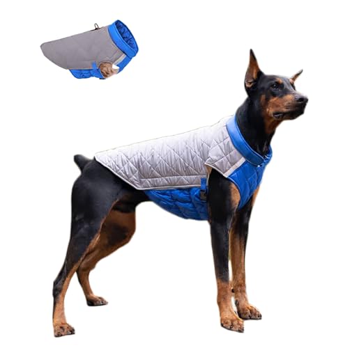 ClawsPurrfect Hundejacke für den Winter, reflektierend, Größe 3XL, Grau / Blau von ClawsPurrfect