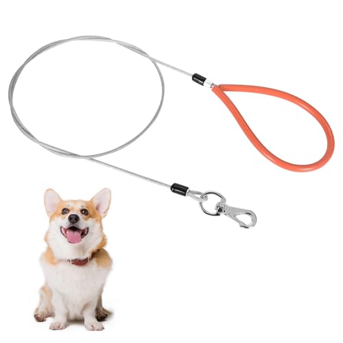 Chew Proof Hundeleine, Hundeleine Kette,Hundeleine für Hunde, Hundekette Leine Bissfest, Widerstandsfähigem Metall Seil Leine,Kettenleine für Große und Kleine Hunde Training (2M) von Cleminsta