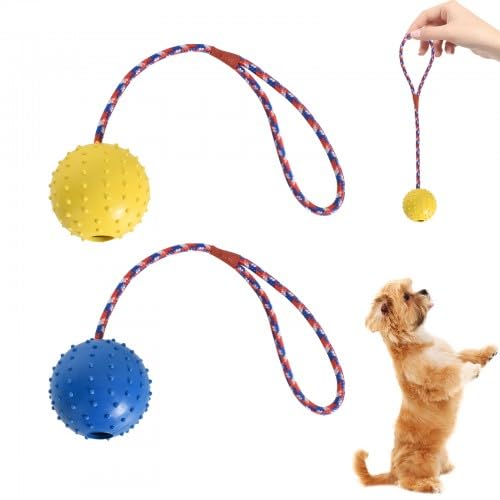 Cleminsta 2 Stück Hundeball mit Schnur, Ball mit Seil Naturkautschuk Wurfball Hundespiel-Ball mit Schnur Weich und Elastisch, Wurfball mit Seil für Große & Kleine Hunde (Gelb & Blau, ø 5 X 30) von Cleminsta