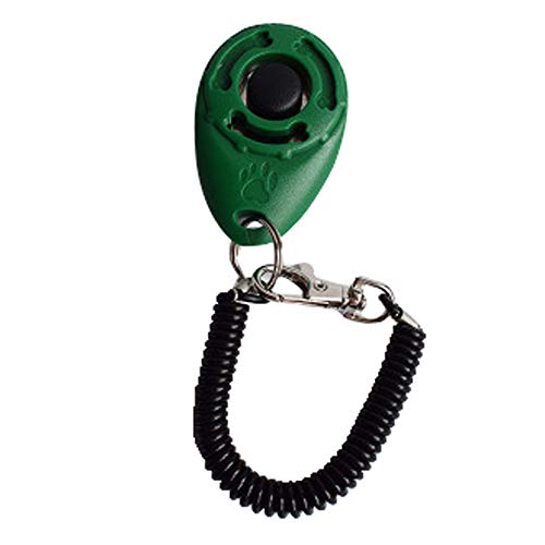 1 Stück Dog Pet Click Clicker Training Trainer Hilfe Handschlaufe FOp40 (Green, One Size) von Clicitina