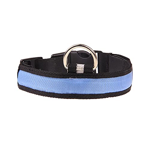 Clicitina Haustier leuchtendes Halsband LED Licht Halskette Hund beleuchtet buntes Halsband für kleine große mittelgroße Hunde Keramik Halsband Hund (Blue, M) von Clicitina