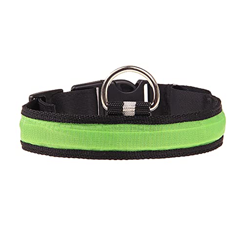 Clicitina Haustier leuchtendes Halsband LED Licht Halskette Hund beleuchtet buntes Halsband für kleine große mittelgroße Hunde Keramik Halsband Hund (Green, L) von Clicitina