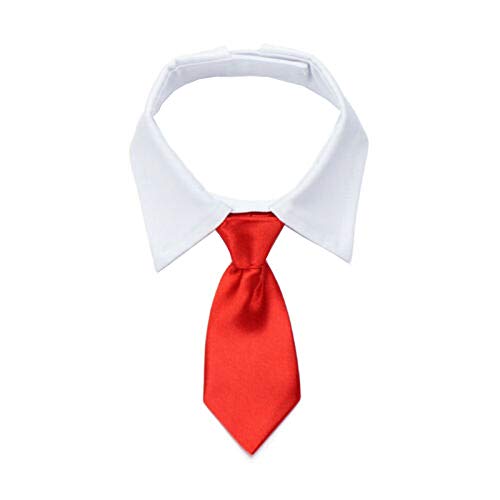 Clicitina Haustierzubehör Verstellbare Krawatte Krawatten Weißer Kragen Krawatte Formal Bow Dog Pet Supplies RyD516 (Red, S) von Clicitina