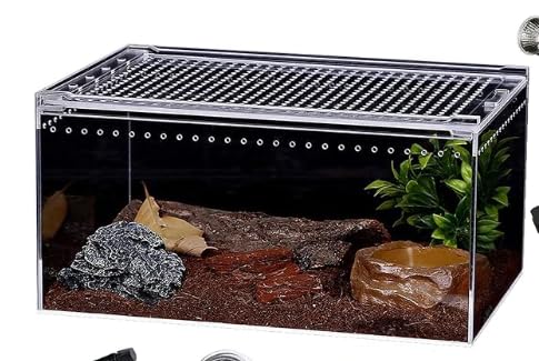 Reptilien-PC-Terrarium, Spinnen-Tank-Starterset, Leoparden-Gecko-Behälter, Vogelspinnenkäfig, Einsiedlerkrebs-Lebensraum, Eidechsengehege, Insektenhaus, Springspinnengehege, kleines Bartagamenviarium von Clioran