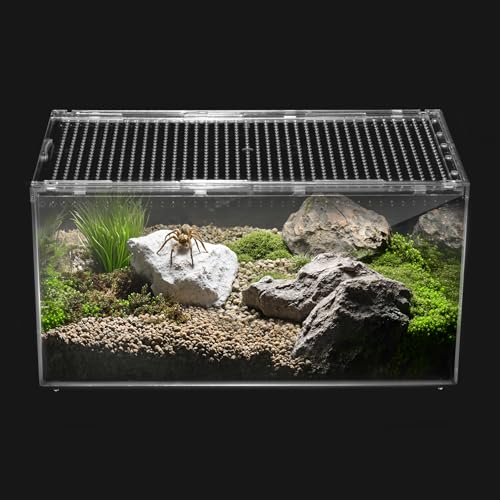 Reptilien-Terrarium Starter-Set, Futterbox für Eidechsen, Schlangen, Chamäleons, springende Spinnen, 45 x 25 x 20 cm, groß von Clioran