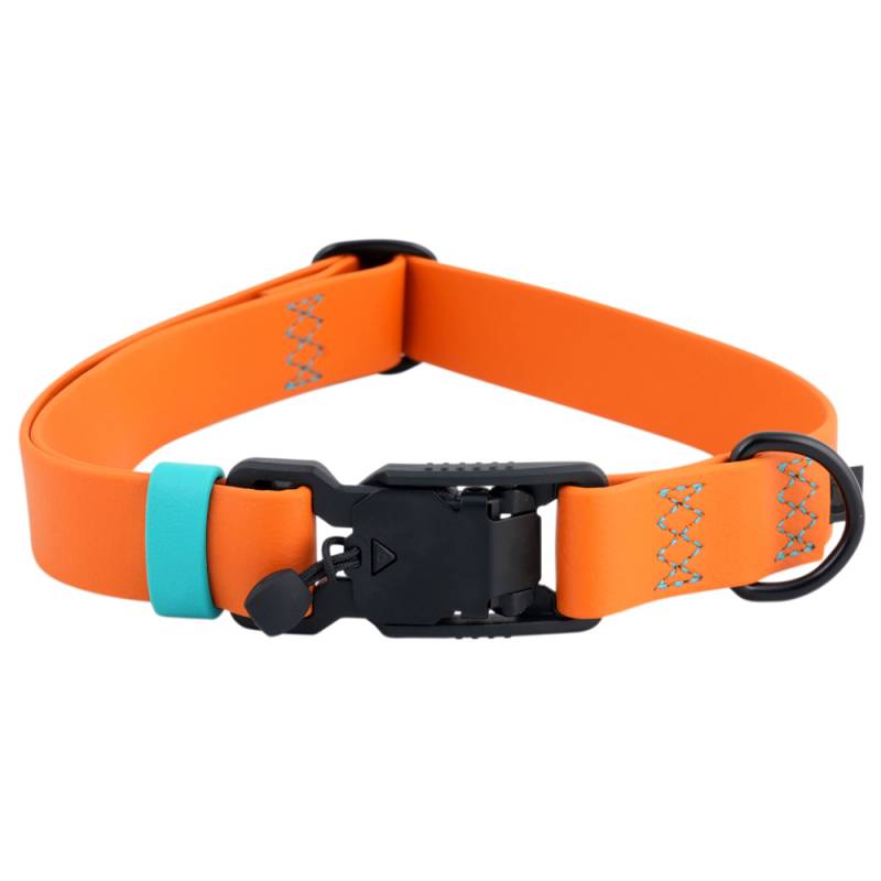 Cloud7® Hundehalsband Ipanema orange-aqua, Gr. L, Breite: ca. 2,5 cm, Halsumfang: ca. 42 – 65 cm von Cloud7®