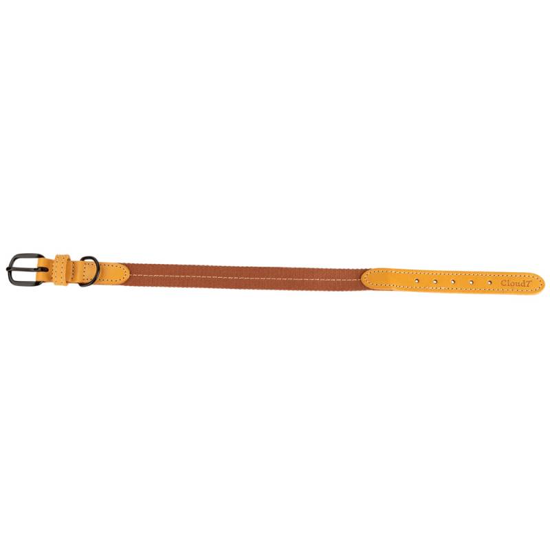 Cloud7® Hundehalsband Madeira ginger, Gr. L, Breite: ca. 2,5 cm, Halsumfang: ca. 35 - 43 cm von Cloud7®