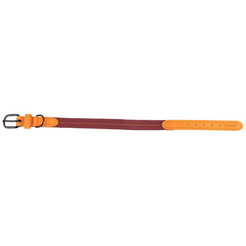 Cloud7® Hundehalsband Madeira papaya, Gr. XL, Breite: ca. 3 cm, Halsumfang: ca. 42 - 50 cm von Cloud7®