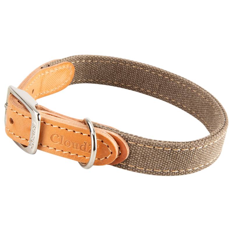 Cloud7® Hundehalsband Tivoli greige, Gr. XS, Breite: ca. 2 cm, Halsumfang: ca. 23 - 29 cm von Cloud7®