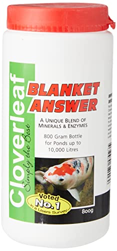 Cloverleaf BA800G Decke Antwort, 800 g, beige von Cloverleaf