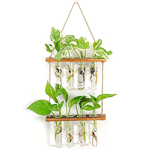 Clyictz Wandbehang Pflanze Glas Anzuchtstation Röhren Blumenterrarium mit Holzständer Moderne Vase Zubehör für Zuhause von Clyictz