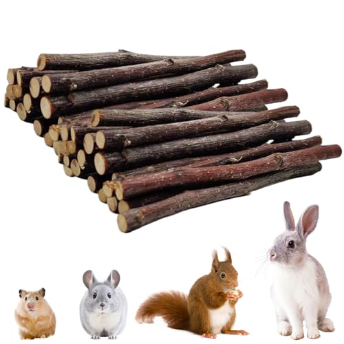 Cndiyald Baumstöcke für Kaninchen Chinchilla Sticks Baumstangen für Kaninchen 40 Stück Natural organischer 4,72 -Zoll von Cndiyald