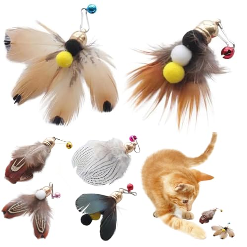 Cndiyald Cat Toy Refill, 6pcs Interactive Cat Zauberstab Spielzeug, Ersatzkatze Teaser -Zauberstab, natürlicher Katzenstab mit Glocken, Katzenspielzeug Nachfüllung von Cndiyald