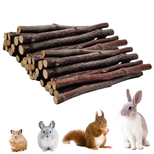 Cndiyald Chinchilla Sticks Baumstangen für Kaninchen 40pcs Natural Bio 4,72in Chinchilla Sticks getrocknete Kauspielspielzeug für Hamster Meerschweinchen Eichhörnchen Groundhog Chinchilla Sticks von Cndiyald