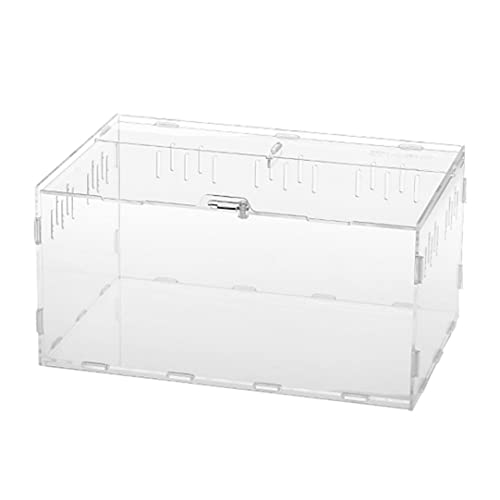 Cndiyald Klettern Haustier Zuchtbox Klettern Haustier Terrarium Reptile Zuchtbox Acryl -Fütterungsbox, kriechende Haustierspinnen -Zuchtbox von Cndiyald