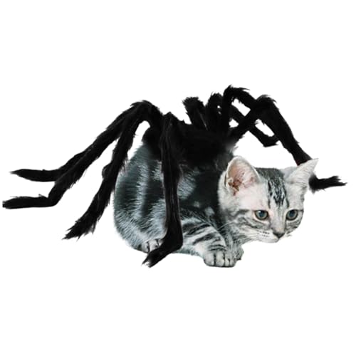 Pet Cosplay Spider Dogs Spider Halloween Kostüm Haustier Cosplay Spinnen Kostüme Realistische Plüschhund Spinnen Kostüme mit hellen Augen und Riemen für Halloween Party Haustier -Dress -Outfit schwar von Cndiyald