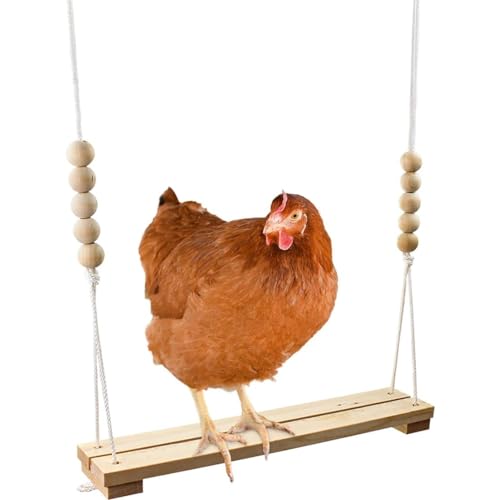 Pet Entertainment Stress Relief Chicken Swing Spielzeug für Coop Large Barch Leiter für Geflügel Run Rooster Hens Küken Haustier Papageien Macaw Unterhaltungsstress für Vögel von Cndiyald