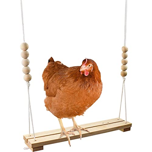 Pet Entertainment Stress Relief Chicken Swing Spielzeug für Coop Large Barch Leiter für Geflügel Run Rooster Hens Küken Haustier Papageien Macaw Unterhaltungsstress für Vögel von Cndiyald