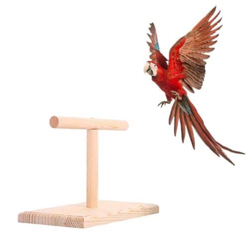 Vogelspielzeug Holzpapagei Saches Bird Toy Office Vogelstand Halter Kaut Bucke Spielzeug Spielen Sprungbrett Haustierspielzeug Vogelversorgung 20E von Cndiyald