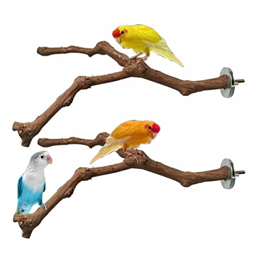 Vogelständer Perch Papageistand Barsch Vogel stehende Traubenstab natürliche Stehzäste für Vogelkäfigspielzeug 2pcs von Cndiyald