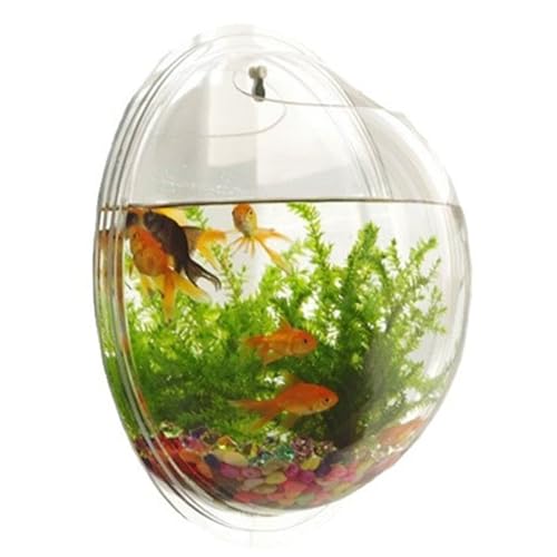 Wandfischtank klare Acrylhydroponic Decorative Wandfischschale Aufprallresistente Bubble Tank Wall-Raumsparende Terrarien Geschenk, 6x6x3in, Wandmontage Fischtank von Cndiyald