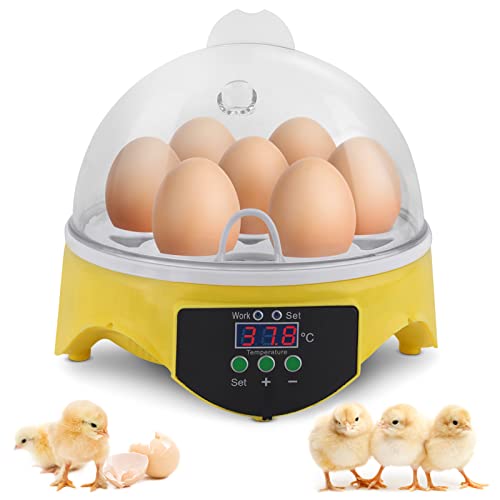 Cocoarm Brutmaschine Inkubator mit LED 7 Eier Mini Digital Inkubator Inkubationsgerät Eier Brutkasten Temperatur und Feuchtigkeitsregulierung für Hühner Ente Gans und Wachtel Ausbrüten (7 Eier) von Cocoarm