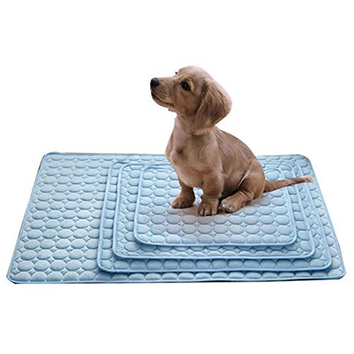 Cocolook Hundematte Kühl Sommer-Auflage-Matte für Hunde Katzen-Decken-Sofa Breathable Haustier-Hundebett waschbar Small Medium Large Hunde Auto Mesh-Stoff Blau,L 70x55cm von Cocolook