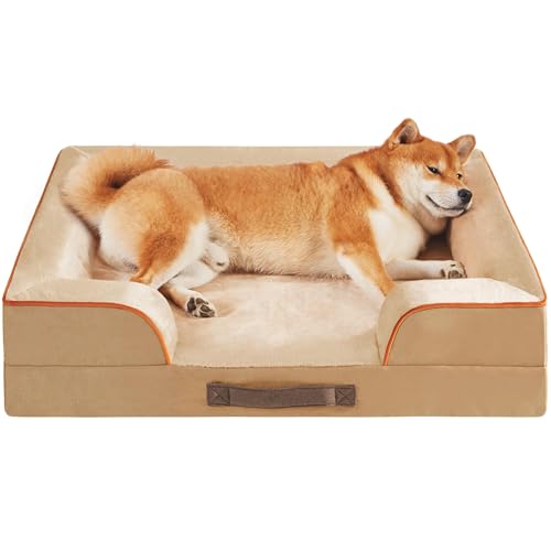 Codi Orthopädisches Hundebett mit Memoryschaum-Schicht für mittelgroße Hunde, wasserdichtes Haustierbett mit abnehmbarem Bezug, Hundesofa, maschinenwaschbar, Beige von Codi