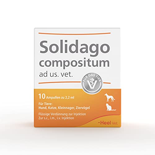 Solidago compositum ad us. Vet. 10 Ampullen. Bestandteil der SUC-Kombination | Natürliches Tierarzneimittel für Katzen, Hunde, Kleinnager und Ziervögel | Made in Germany von Coenzyme Compositum