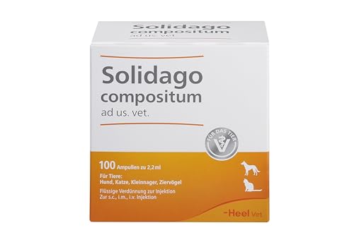 Solidago compositum ad us. Vet. 100 Ampullen. Bestandteil der SUC-Kombination | Natürliches Tierarzneimittel für Katzen, Hunde, Kleinnager und Ziervögel | Made in Germany von Coenzyme Compositum