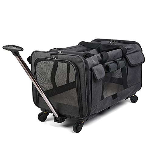 Faltbare Trolley-Tasche für Haustiere, Bequeme und Atmungsaktive Haustiertasche mit Viel Platz, Tragbar mit Großer Kapazität, Kann 2 Katzen Aufnehmen,Black von Cofepy