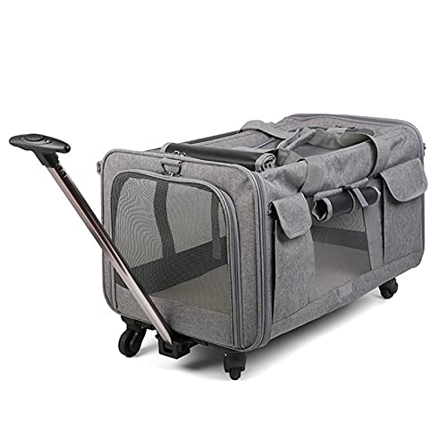 Faltbare Trolley-Tasche für Haustiere, Bequeme und Atmungsaktive Haustiertasche mit Viel Platz, Tragbar mit Großer Kapazität, Kann 2 Katzen Aufnehmen,Gray von Cofepy